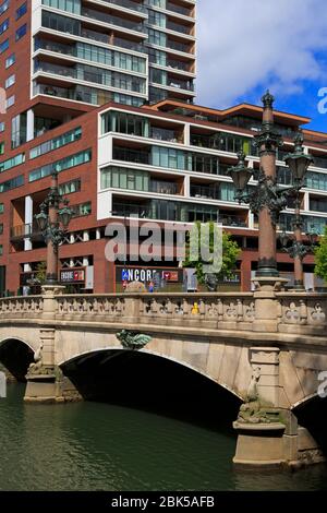 Regentesse Bridge, Maritime District, Rotterdam, Olanda meridionale, Paesi Bassi, Europa Foto Stock