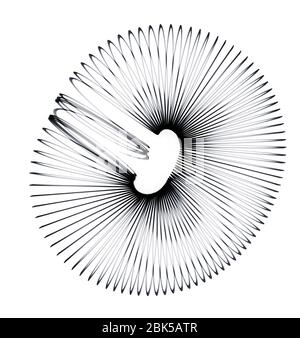 Giocattolo Slinky, raggi X. Foto Stock