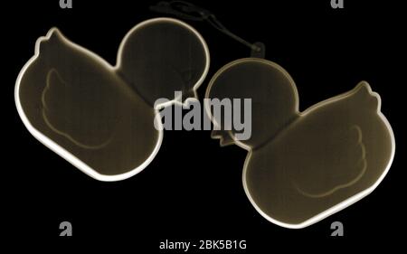 Due anatre in gomma, raggi X colorati. Foto Stock