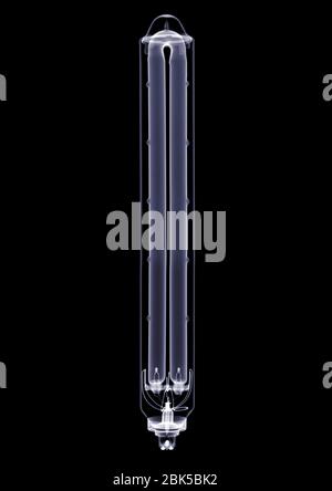 Lampadina lunga, raggi X. Foto Stock