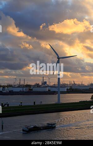 Turbina eolica, Distretto di Maasvlakte, Rotterdam, Paesi Bassi, Europa Foto Stock