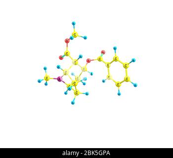 La cocaina è un alcaloide tromano ottenuto dalle foglie della pianta della coca Foto Stock