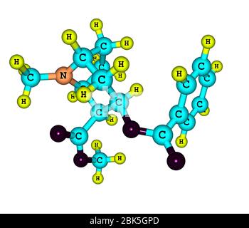 La cocaina è un alcaloide tromano ottenuto dalle foglie della pianta della coca Foto Stock