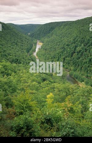 Grand Canyon della Pennsylvania (Pine Creek Canyon), Leonard Harrison state Park, Pennsylvania Foto Stock