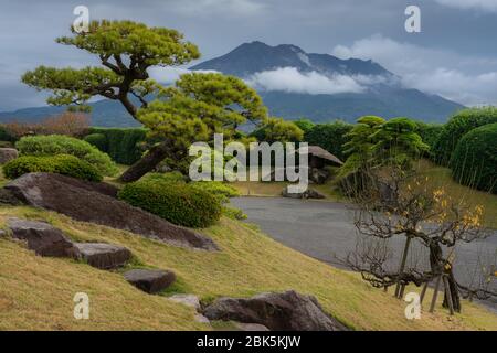 Senganen giardino giapponese, Kagoshima, Kyushu, Giappone - 28 novembre 2019 : alberi e paesaggio splendidamente modellati all'interno del giardino giapponese di Senganen, w Foto Stock