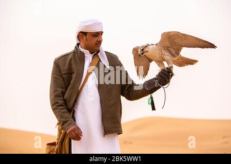 Falconeria nella Dubai Desert Conservation Reserve, Dubai, Emirati Arabi Uniti Foto Stock