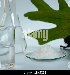 Closeup cloruro di potassio su tavolo bianco da laboratorio. Sostanze chimiche utilizzate nei prodotti OTC e nei prodotti farmaceutici topici. Foto Stock