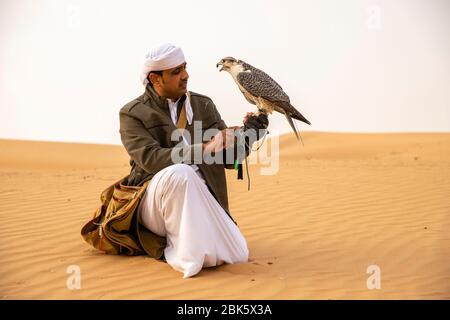 Falconeria nella Dubai Desert Conservation Reserve, Dubai, Emirati Arabi Uniti Foto Stock