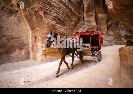 Carrozze trainate da cavalli nel Siq slot Canyon nella città di Petra, Giordania Foto Stock