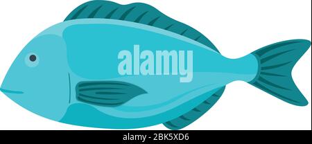 Pesce fresco, cartoni animati stile vettoriale piatto illustrazione dorada. Concetto di pesce minnow. Prodotto marino per sushi, omega 3 alimentare. Cibo sano, oceano Illustrazione Vettoriale
