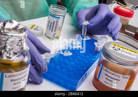 Analisi scientifica del campione di acque reflue in laboratorio, indagine di possibile contaminazione da parte di Sars-Cov-2 nell'uomo, immagine concettuale Foto Stock