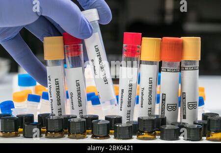Analisi di esperti ripiene di carne contaminata dal batterio della listeria in laboratorio, germoglio causato in Spagna Foto Stock