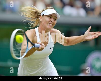 Wimbledon Tennis Championships 2014, Wimbledon Londra. Domande/risposte per le donne: Maria Sharapova (RUS) in azione contro Angelique Curber (GER). Foto Stock