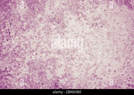 Sfondo astratto di un solido muro di pietra liscia con flecks rosa. Foto Stock