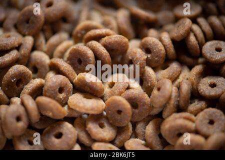 cibo secco cane kibble Foto Stock