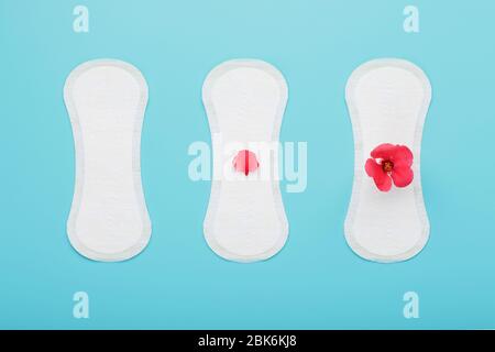 Sanitari in fila con un fiore rosso su sfondo blu. Il concetto di giorni critici, fasi del ciclo mestruale. Foto Stock