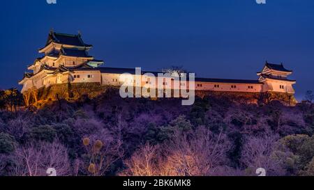 Vista serale dello storico castello di Wakayama costruito nel XVI secolo, nella città di Wakayama, Giappone Foto Stock