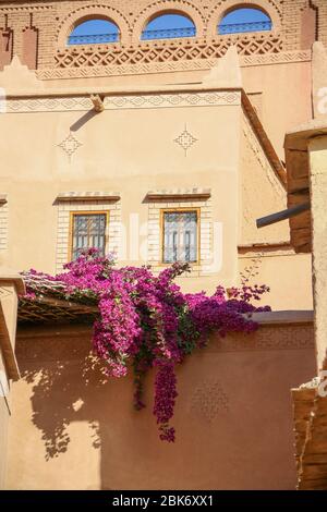 Una residenza costruita in argilla con fiori appesi al tetto Foto Stock
