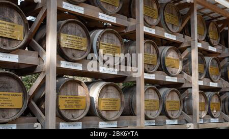 Botti di vino francese Bourgogne al santuario Meiji, Tokyo, Giappone Foto Stock