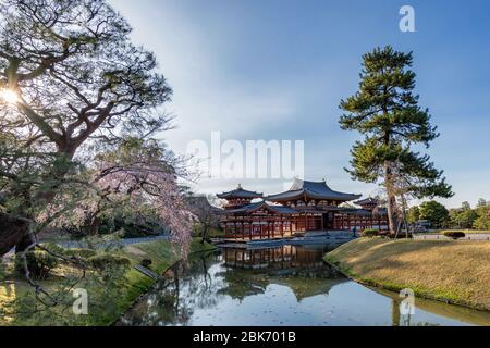 Phoenix Hall e giardino Jodo-Shiki del tempio buddista di Byodo-in nella città di Uji nella prefettura di Kyoto, Giappone Foto Stock