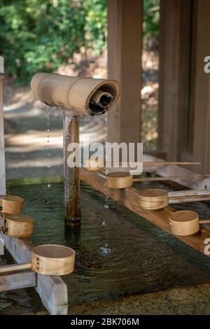 Temizuya, Santuario Meiji. Tokyo, Giappone Foto Stock