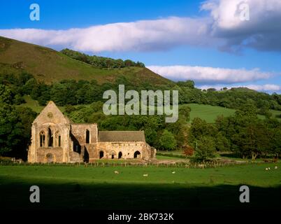Valle Crucis Abbazia visto da strada, Llangollen, Denbighshire, Galles. Rovinata abbazia cistertiana medievale Foto Stock