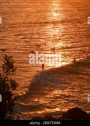 Surfista su un'onda al tramonto Foto Stock