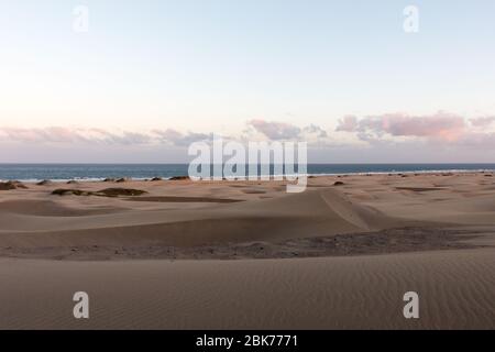 Vista sulle dune di sabbia di Playa del Ingles, Maspalomas, Gran Canaria, Spagna. Foto Stock