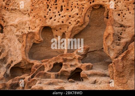 belle strutture in namib deserto rocce e piante Foto Stock