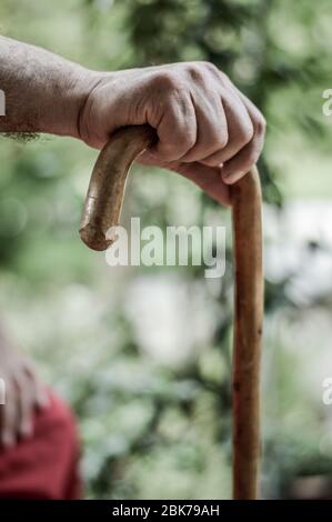 Primo piano delle mani dell'uomo anziano su bastone di legno da passeggio. Messa a fuoco selettiva sulle dita. Foto Stock