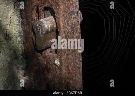 Serratura arrugginita e una serratura obsoleta su un cancello arrugginito e abbandonato in una stanza buia con una ragnatela in background. Immagine di un cancello di ferro arrugginito con Foto Stock