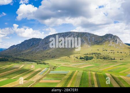 Vista sui Monti Trascau in estate, Carpazi, Romania Foto Stock