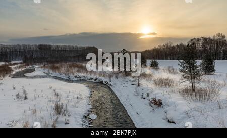 Alberi, Nubi e neve, Paesaggio Biei, Hokkaido, Giappone Foto Stock