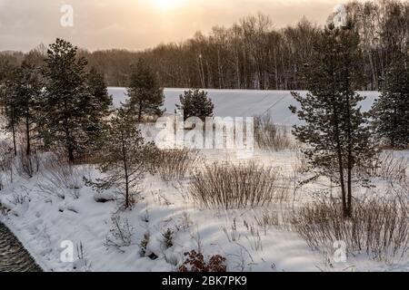 Alberi, Nubi e neve, Paesaggio Biei, Hokkaido, Giappone Foto Stock