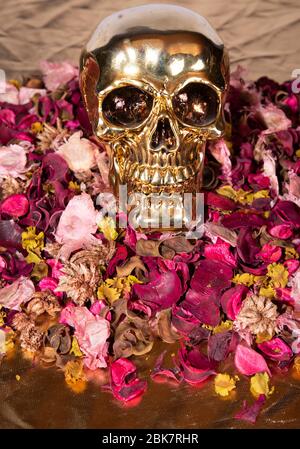 amore morte cranio eterno amore su fiore rosa marrone e giallo Foto Stock