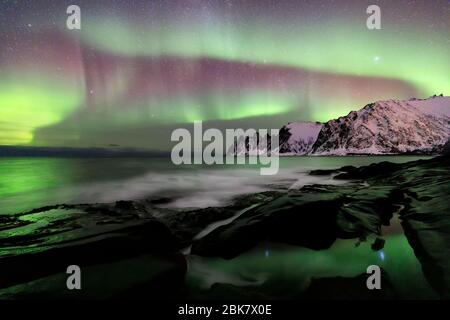 Aurora boreale sulla spiaggia di Ersfjord. Isola di Senja di notte, Europa isola di Senja nella regione di Troms della Norvegia settentrionale. Scatto a lunga esposizione. Foto Stock