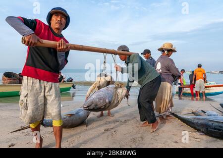 Tonno yellowfin Jimbaran Beach Bali Indonesia Foto Stock
