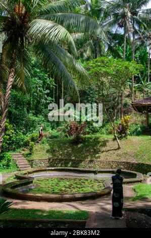 Goa Gajah Grotta Elefante Bali Indonesia Foto Stock