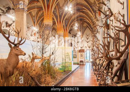 L'interno del castello Vajdahunyad a Budapest Foto Stock