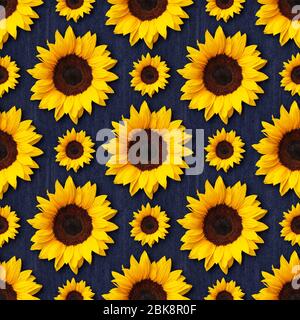 girasoli disegno senza cuciture su jeans blu sfondo denim. Può essere affiancato Foto Stock