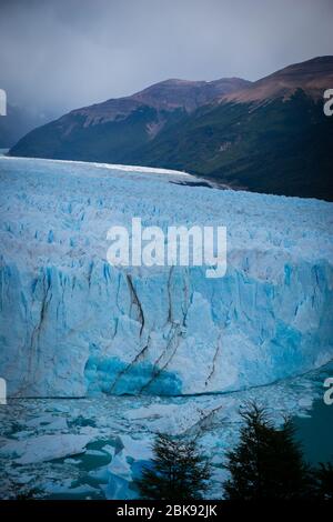 Paesaggio ghiacciato (Iceberg&Forest) di El Calafate, la città vicino al bordo del campo di ghiaccio Patagoniano meridionale nella provincia argentina di Santa Cruz kno Foto Stock