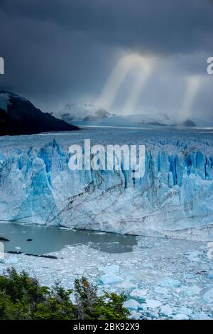 Paesaggio ghiacciato (Iceberg&Forest) di El Calafate, la città vicino al bordo del campo di ghiaccio Patagoniano meridionale nella provincia argentina di Santa Cruz kno Foto Stock