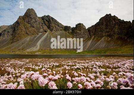 montagne vulcaniche panoramiche con sabbia nera Foto Stock
