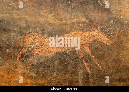 I Boscimani (SAN) rock pittura di un antilope, Karoo regione, Sud Africa Foto Stock