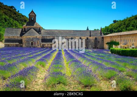 Splendida piantagione di lavanda viola con monastero di Senanque vicino al villaggio di Gordes. Famoso luogo turistico nel Luberon, Provenza regione, Francia, Europa Foto Stock