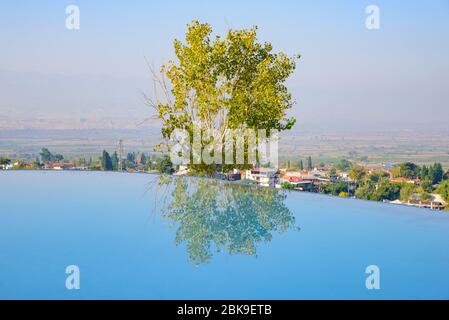 Un albero e riflessione sulla piscina a Pamukkale (castello di cotone), Denizli, Turchia Foto Stock