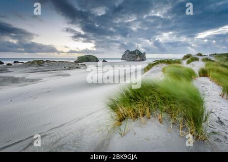 Dune di sabbia ricoperte di erba al tramonto, Wharariki Beach Puponga, North West Nelson Conservation Park, Tasman, South Island, Nuova Zelanda Foto Stock