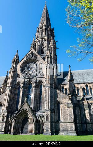 Cattedrale di Santa Maria (episcopale) nel West End di Edimburgo, Scozia, Regno Unito Foto Stock