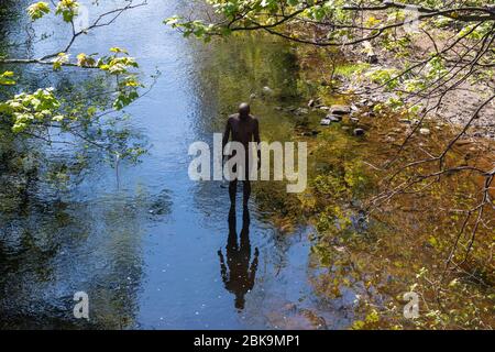 Una delle sculture di Antony Gormley (parte del progetto scultoreo "6 volte") nell'acqua di Leith a Stockbridge, Edimburgo, Scozia, Regno Unito Foto Stock