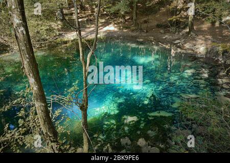 Blu bellissimo lago selvatico, Ochiul Beiului, Romania Foto Stock